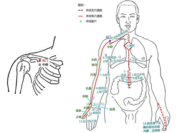 董师每日一言